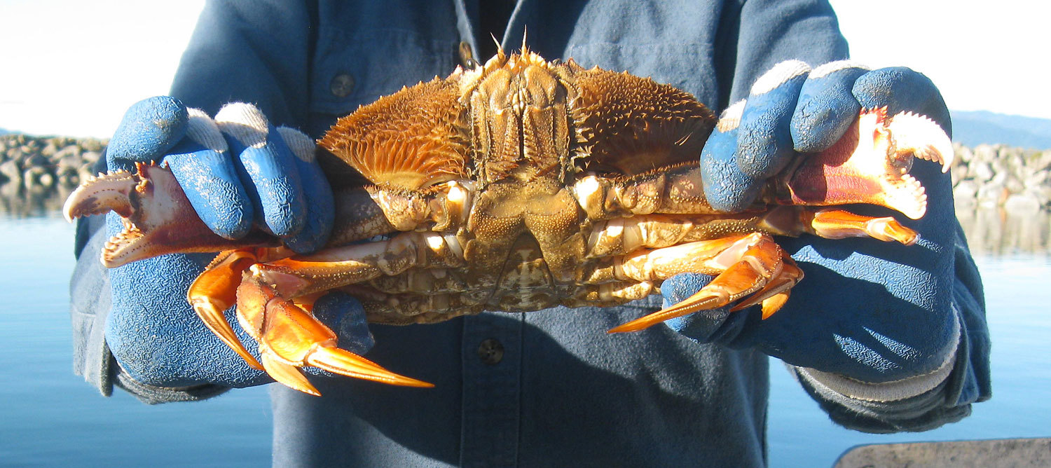 Keeping the pinkies out of the way.