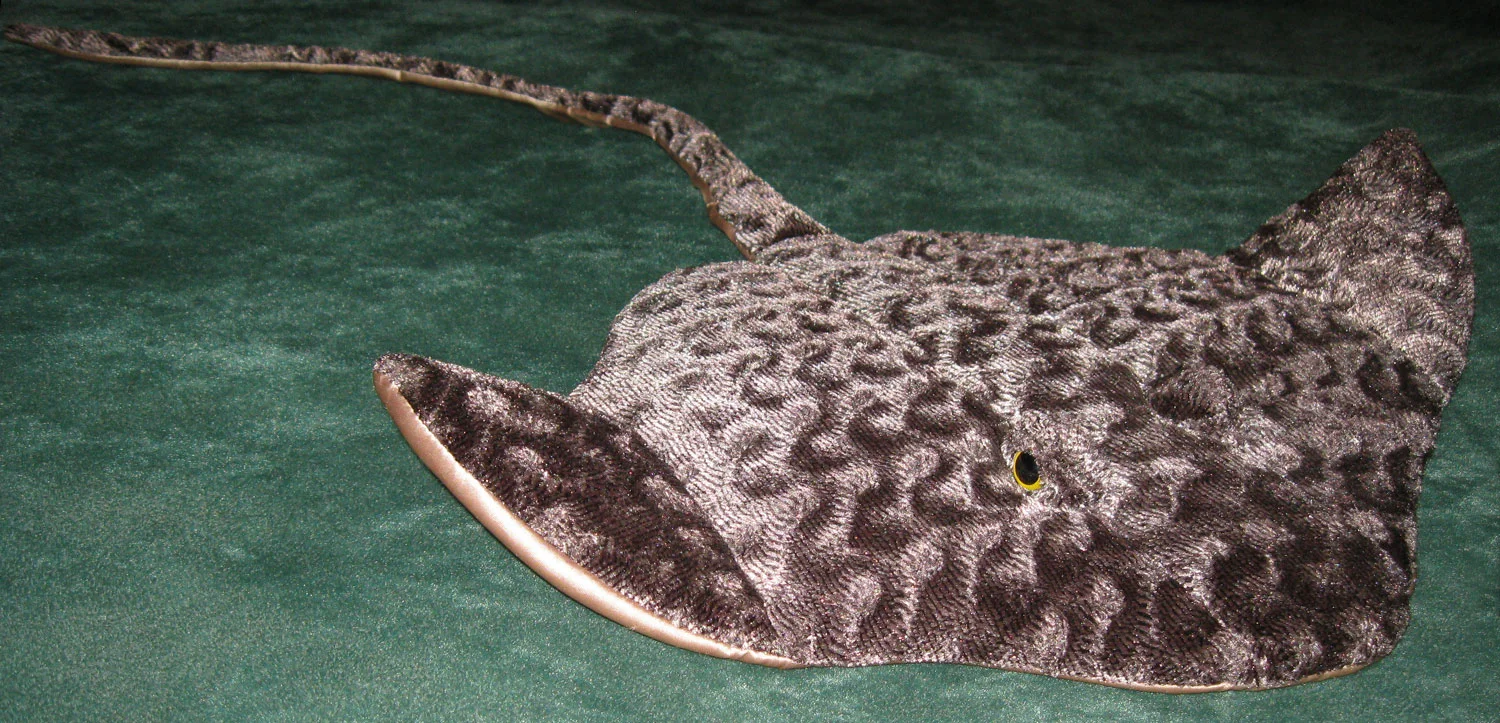Skate_6527.jpg