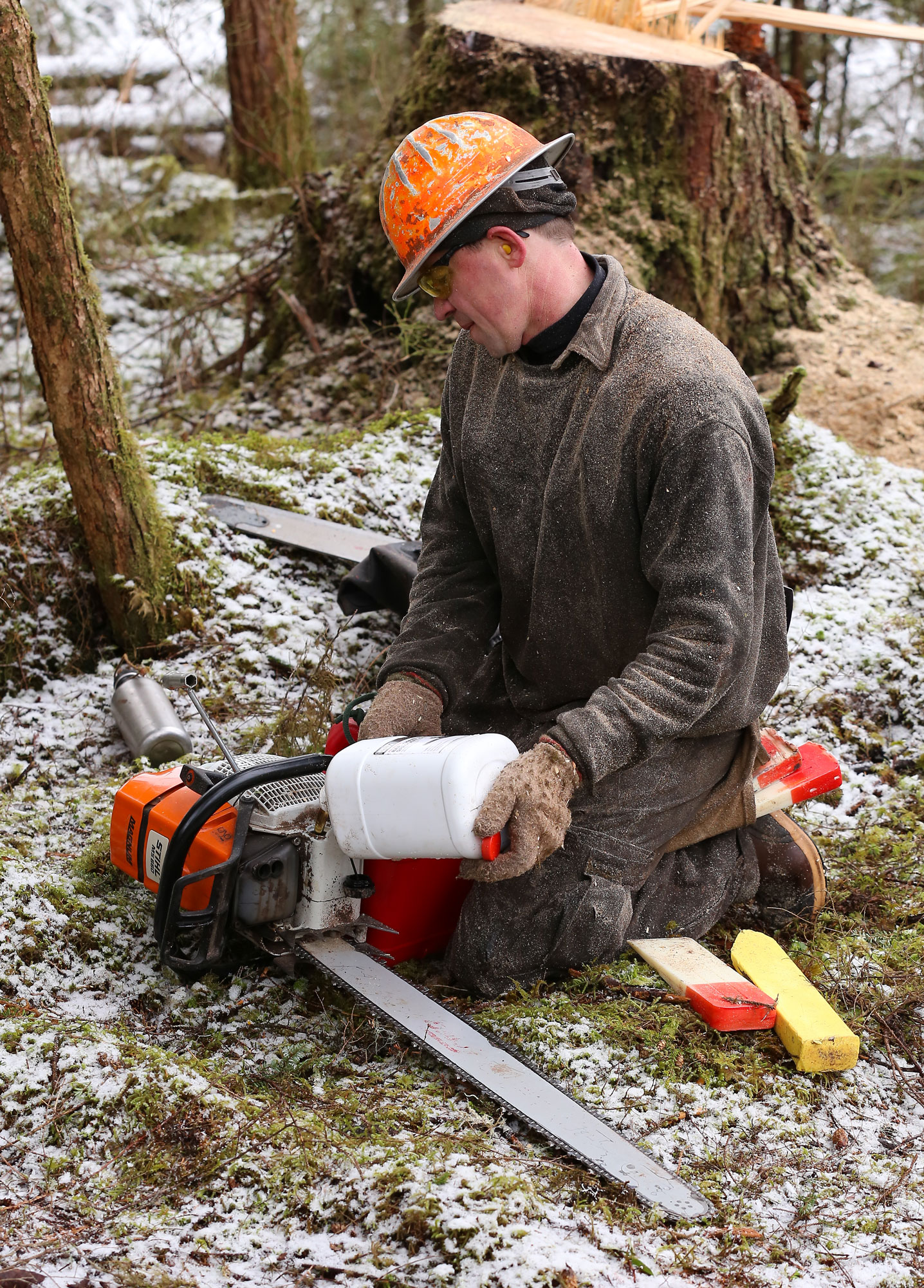Adding bar oil to the chainsaw.
