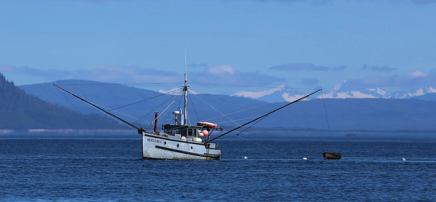 Trollers and Gillnetters (Postcard)
