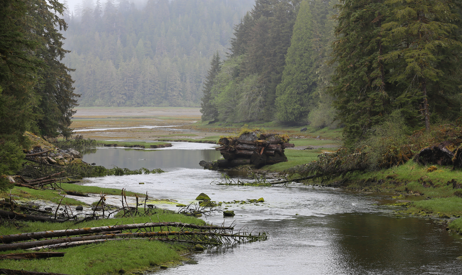 Red Creek still has the bridge support from the old road.