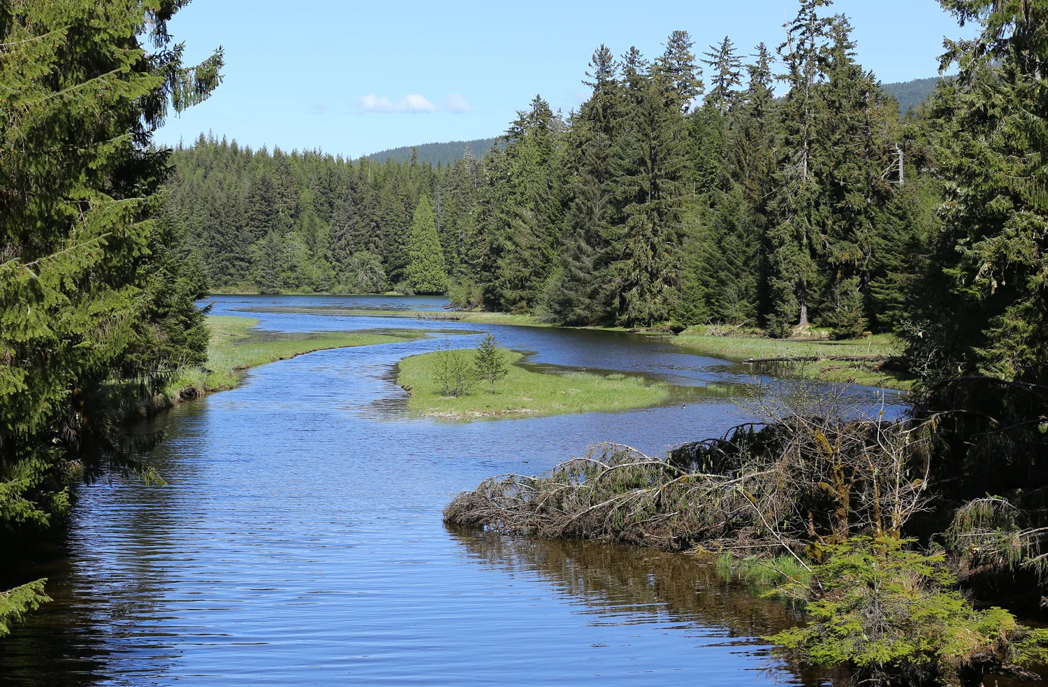 Creek river Prince of Wales Island Alaska