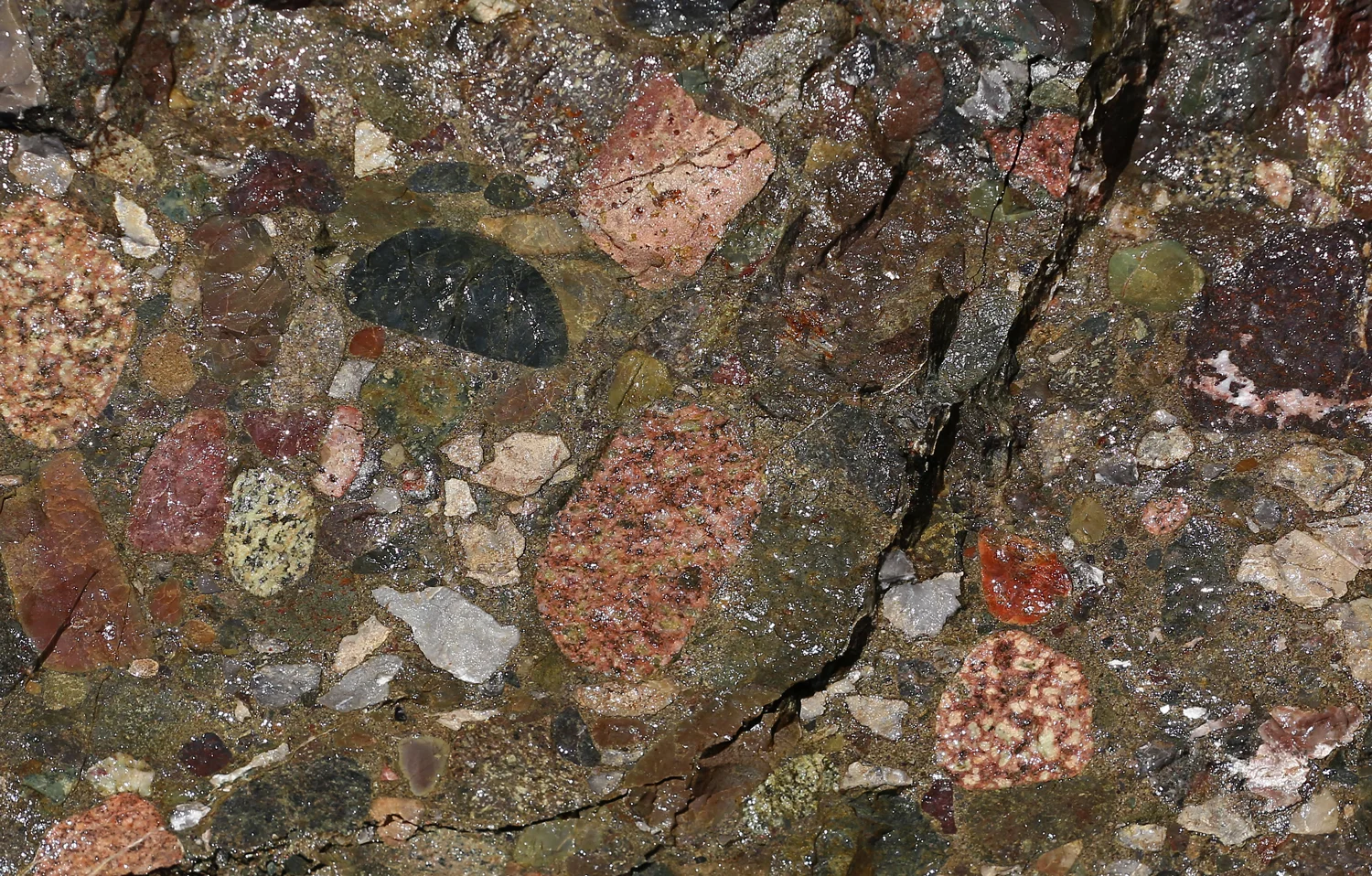There are various colors of metaconglomerate stone on POW.