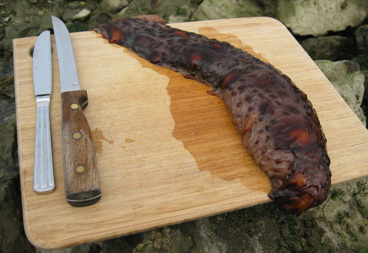 Fresh sea cucumbers don't look very appetizing.
