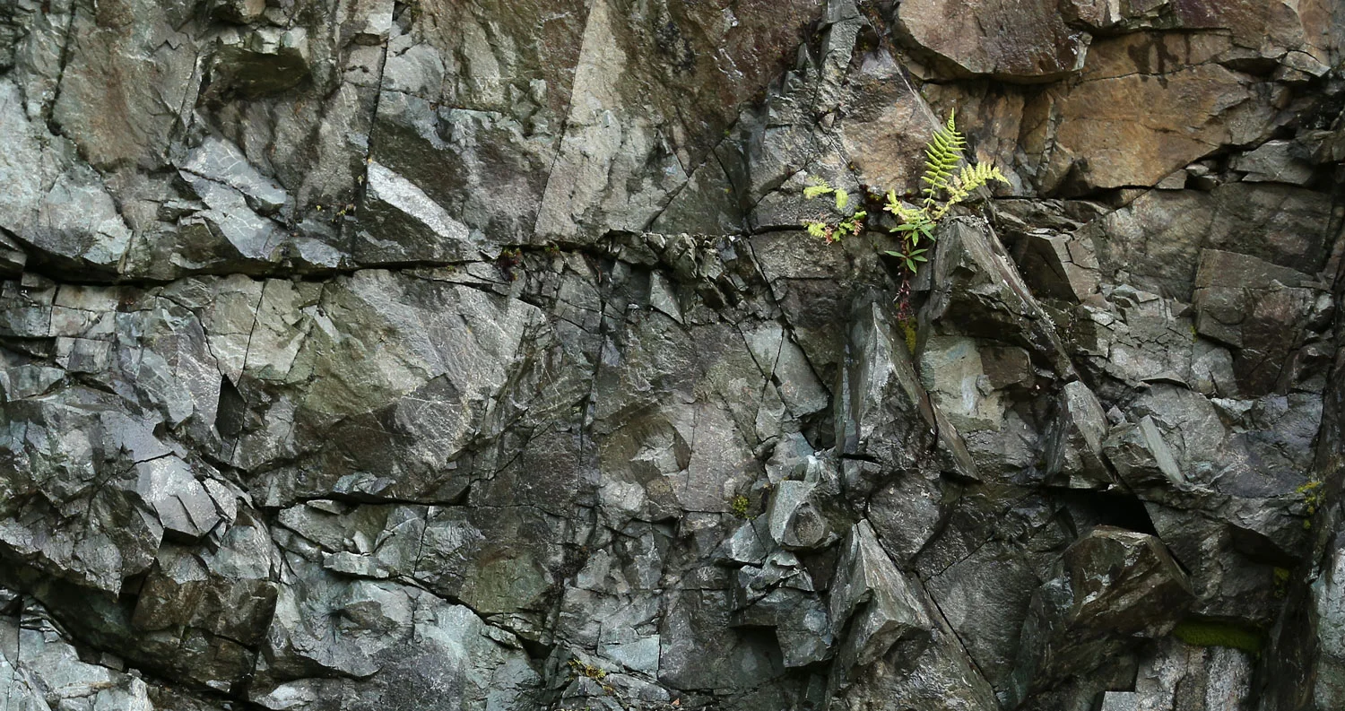 You think you've got if tough?