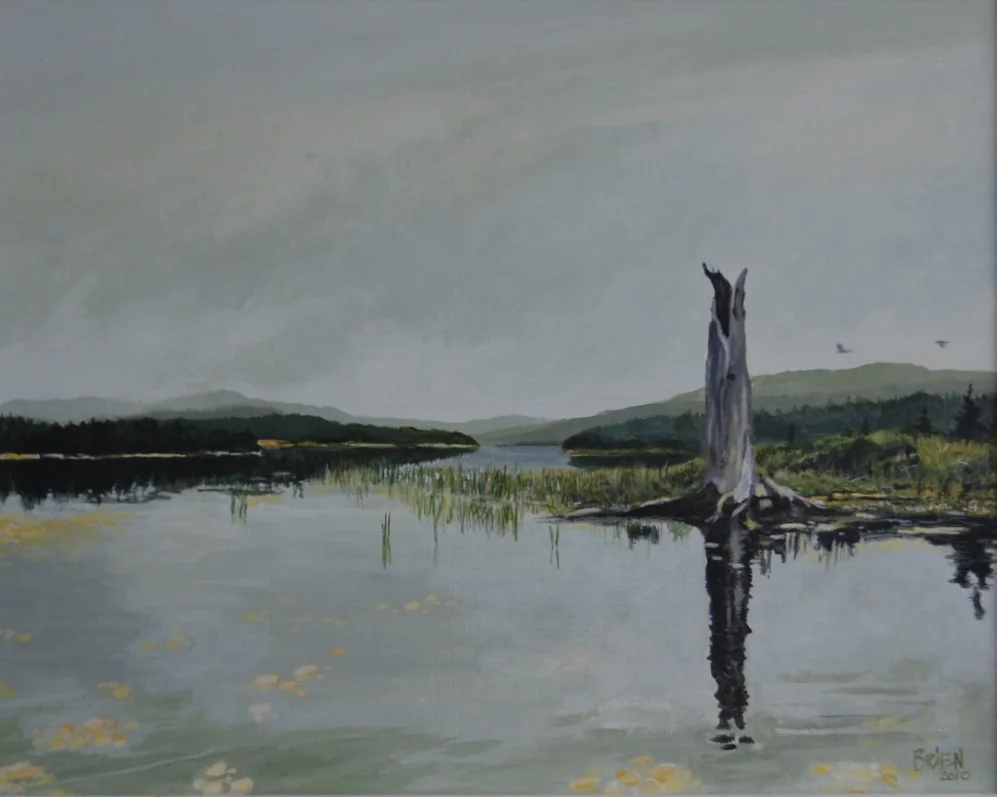 Lac de la Savane (parc du Mt-Tremblant)