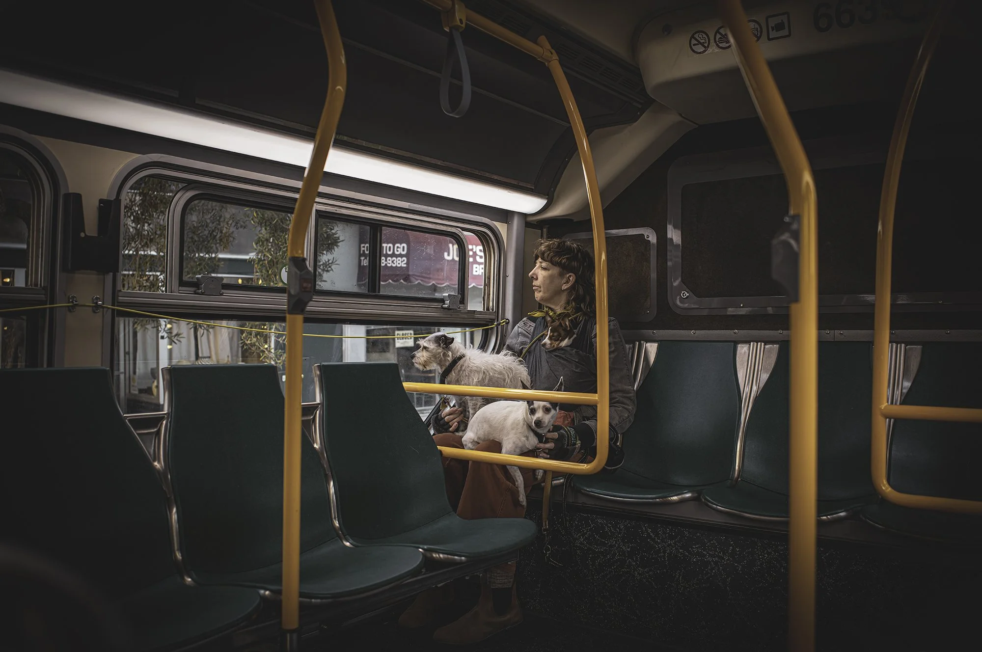 Bus Lady 3 Dogs v2 L1004370-Edit.jpg