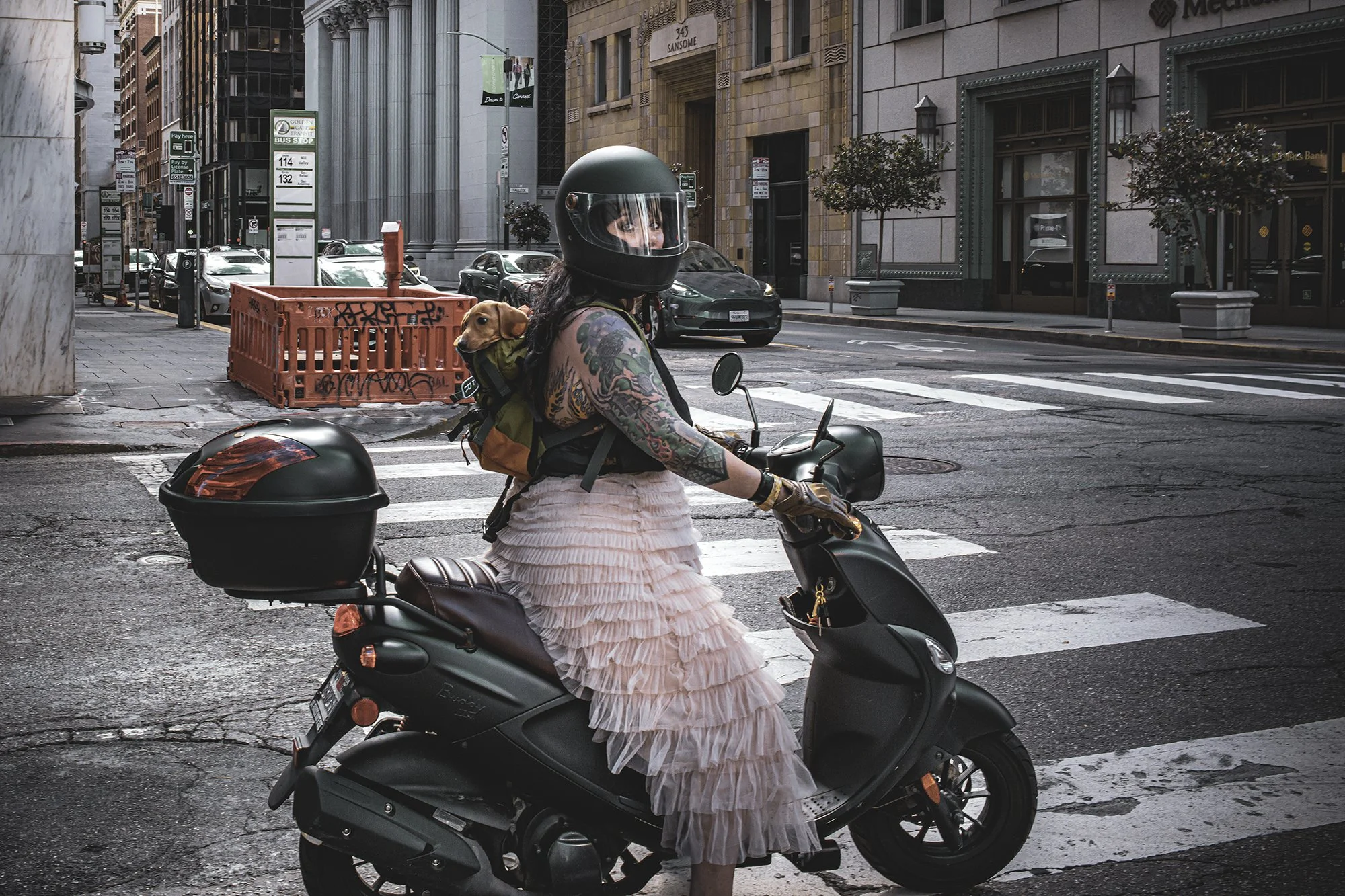 Girl Scooter Doggy L1009588-Recovered.jpg