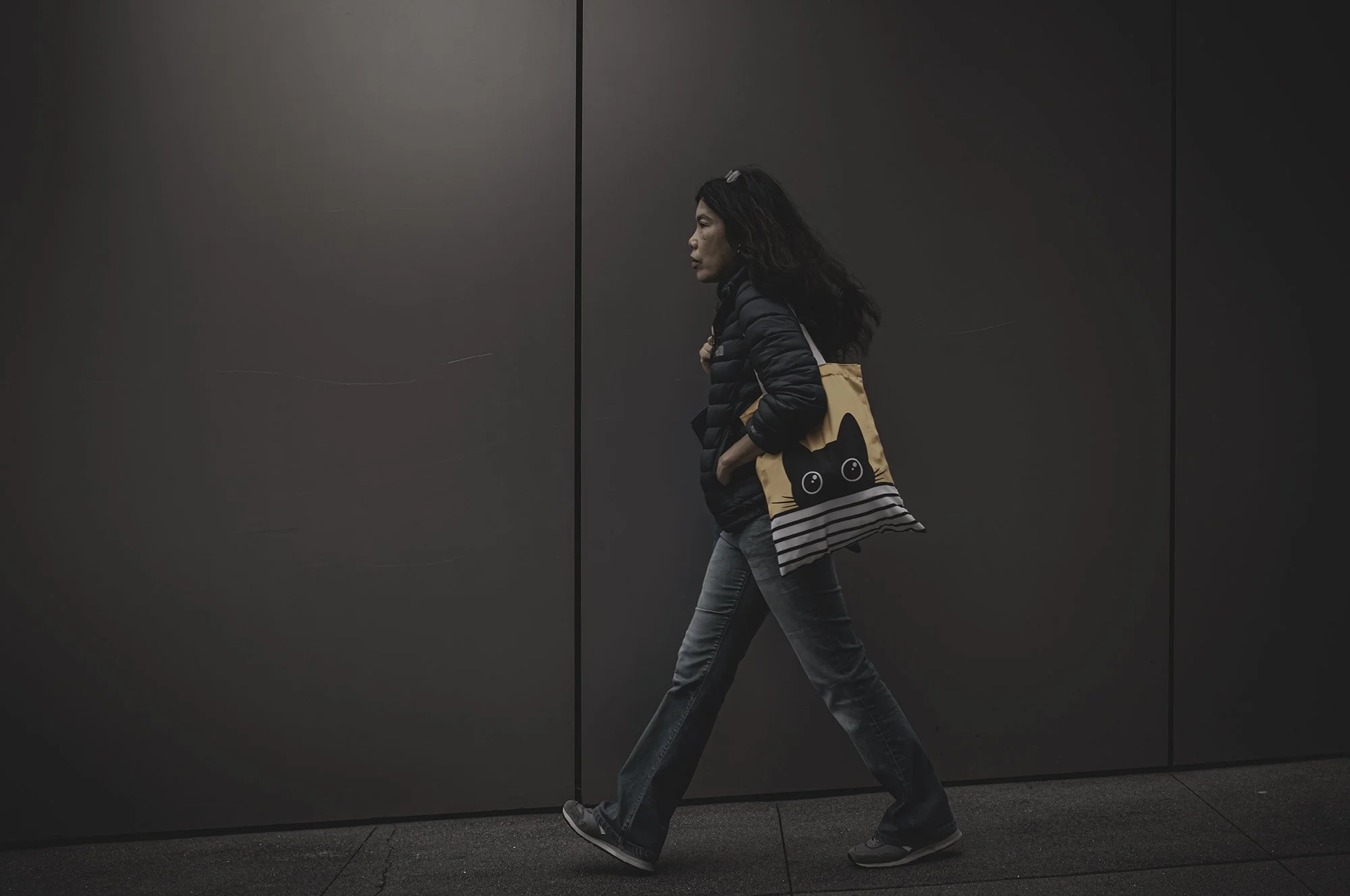 Lady Cat Bag Apple Wall L1001601-Edit.jpg