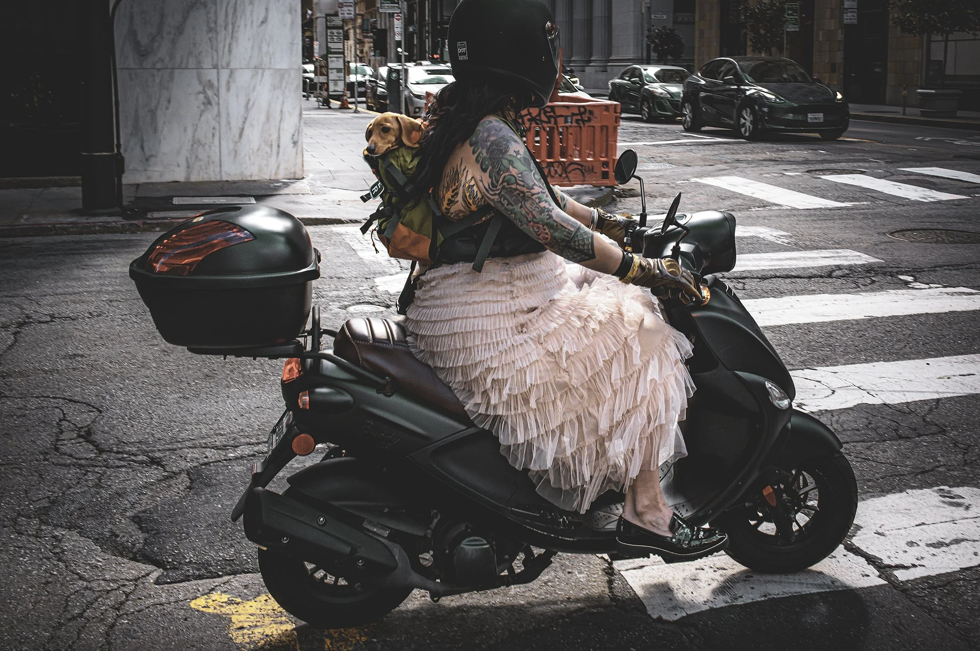 Dog Scooter L1009584-Edit.jpg