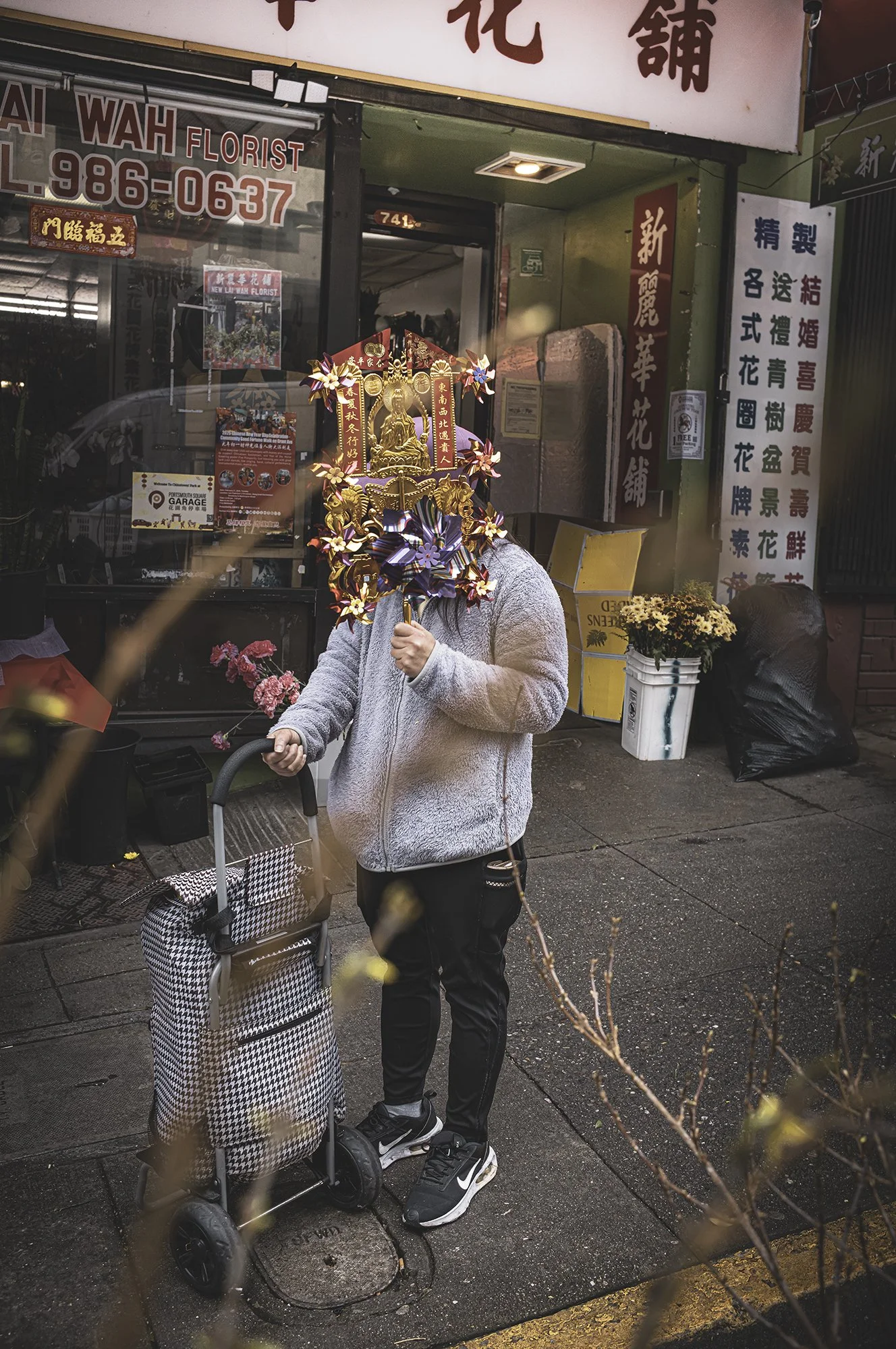 Money Tree Hiding L1008642-Edit-4.jpg