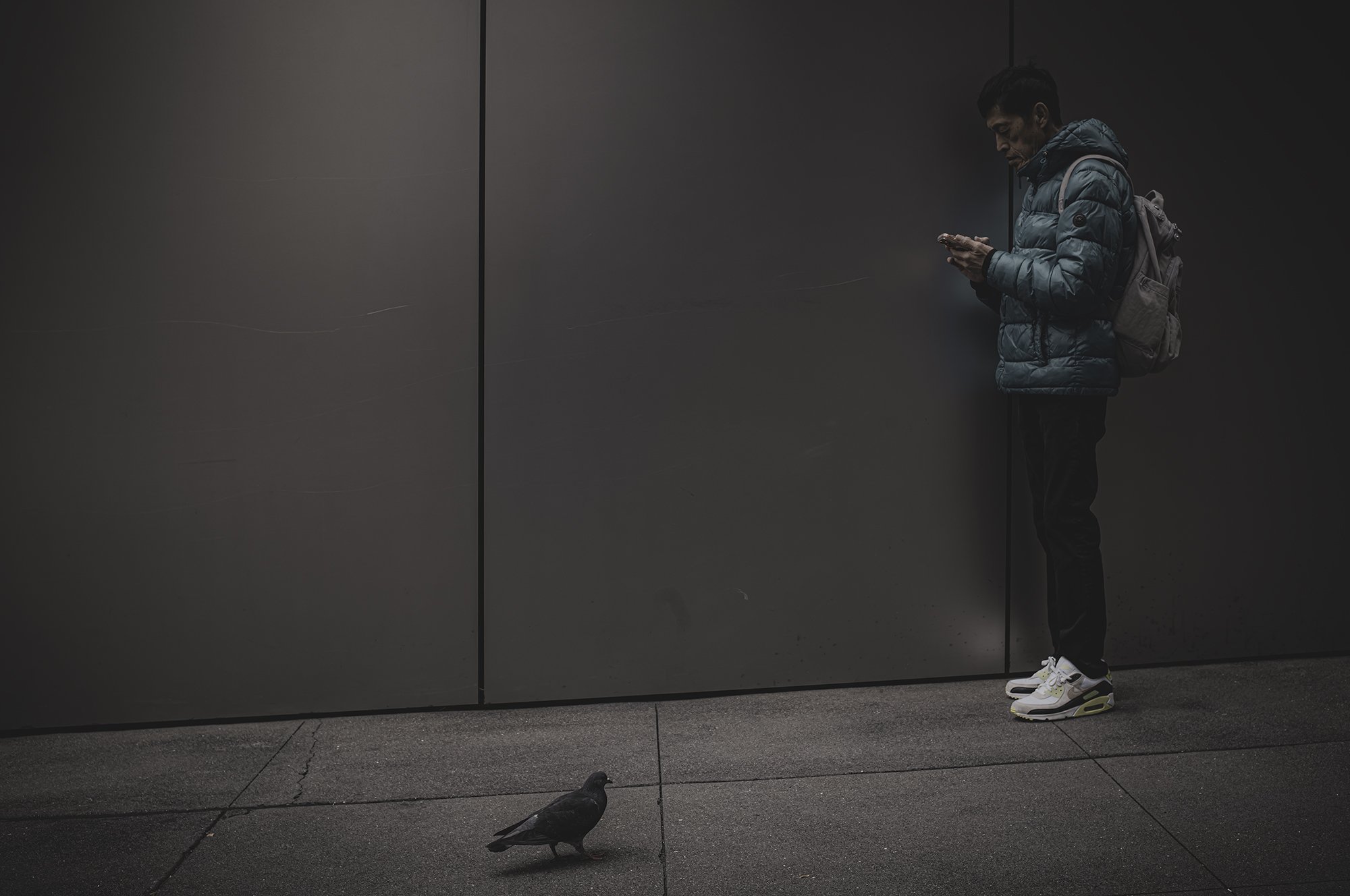 Japanese Guy Apple Wall L1001735-Edit.jpg