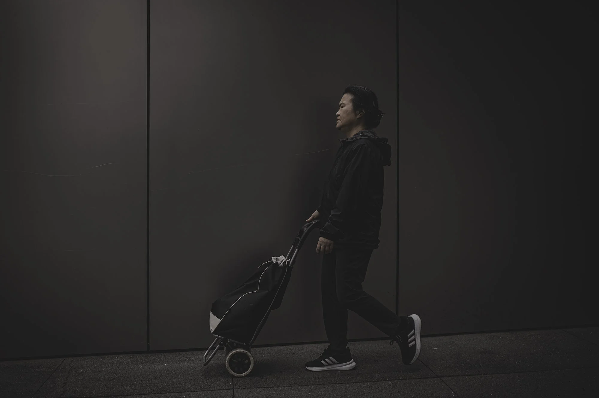 Lady with Cart Sad Apple Wall L1001685-Edit.jpg