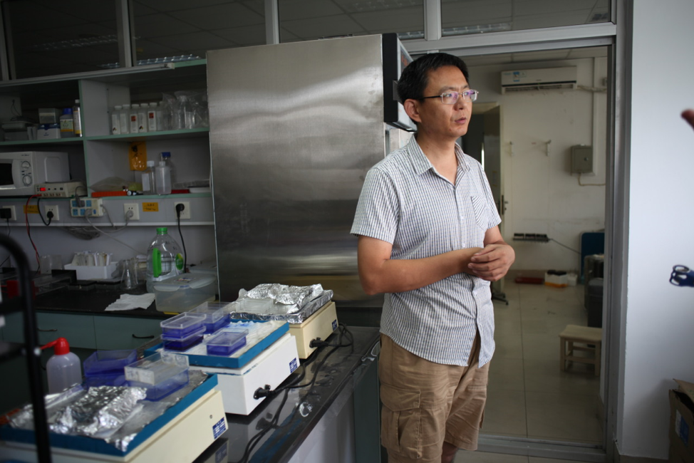 Image: Professor Zhu gave us a tour of his lab and discussed the benefits of engineering C4 into rice. One way he sees his work is as a kind of deep-time realignment of the of plants with the environment. Most earthly plants evolved when atmospheric conditions were very different, and we can now design a more optimal photosynthesis machine for today’s environment. The demand for crop productivity is projected against continuous population growth and changes in diet. “We need 50% more productivity,” he says. This is a promise that has purchase with Bill and Melinda Gates Foundation and other funding agencies. The project is a multinational collaboration developed spanning the last 10 years and funded by both private and state funds.