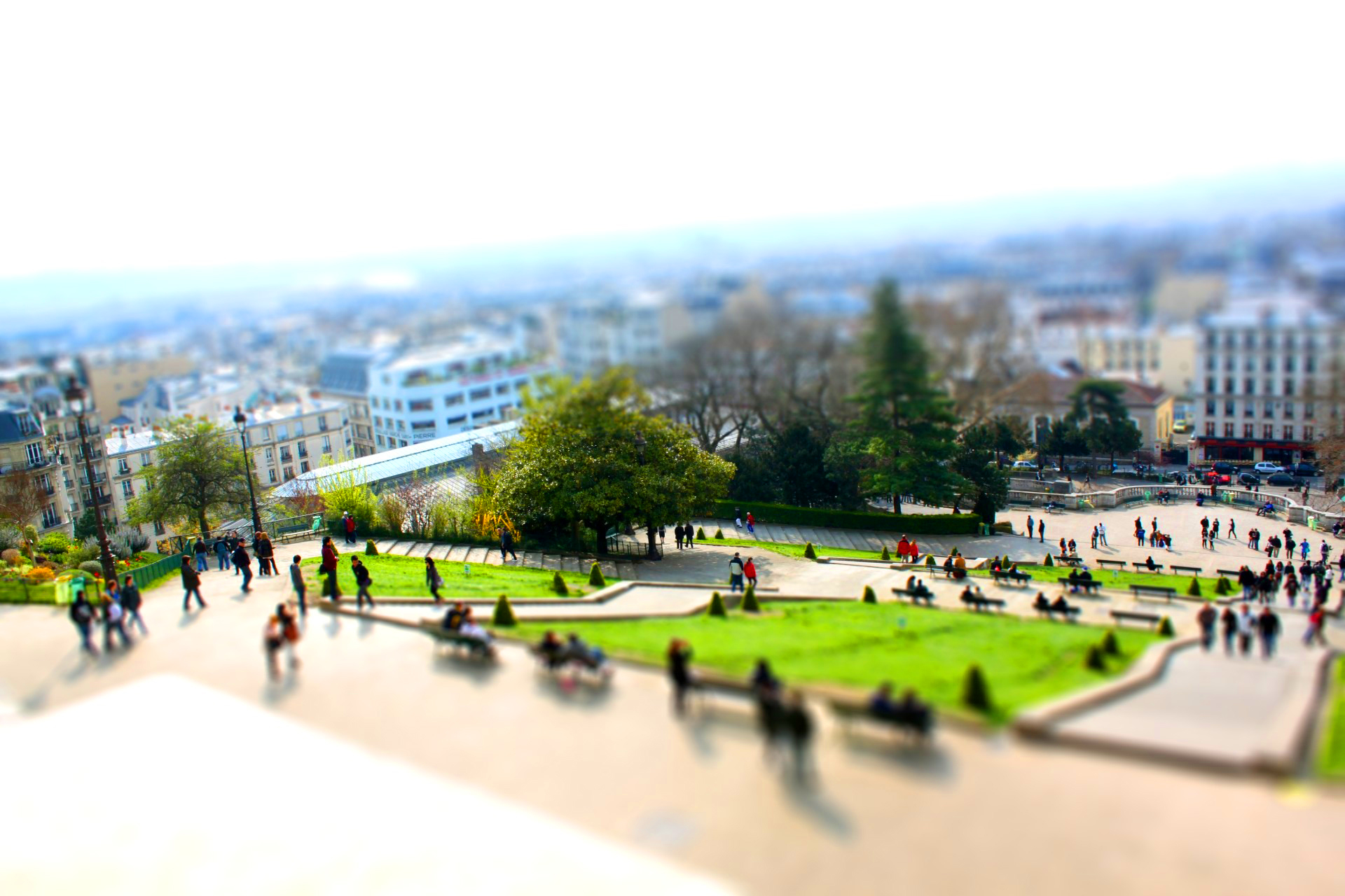 IMG_4665-tiltshift-1colour.jpg