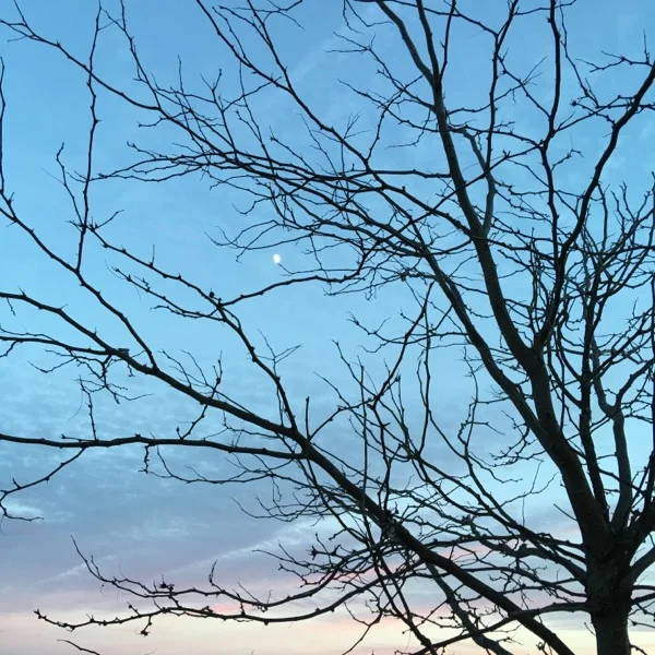 iphone-20151122015641-0.jpg
