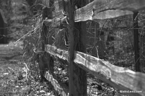 MattsLens_On_the_Fence.jpeg