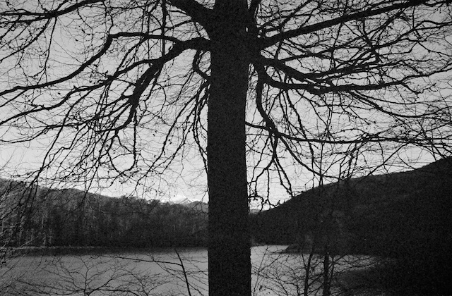  Selva de Irati. © Daniel Belenguer