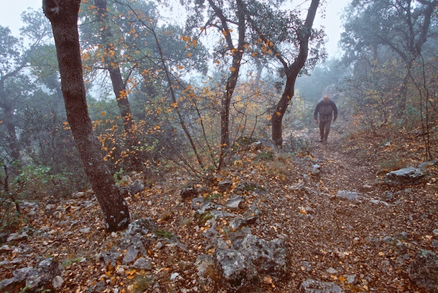 Fotografías de Alicante. Parque Natural de la Font Roja . © Daniel Belenguer