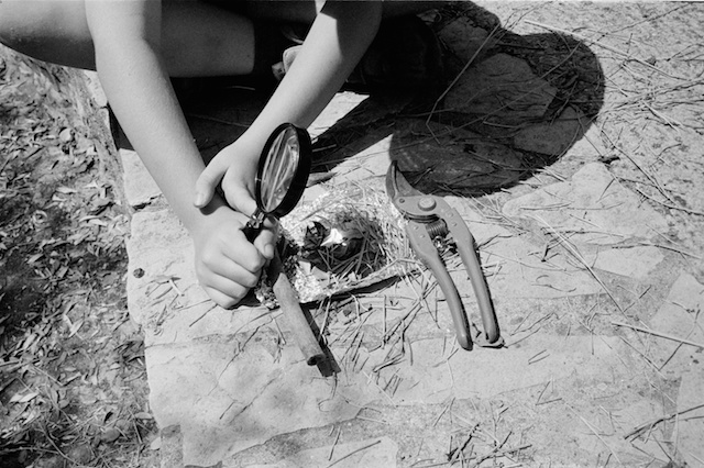 para los que no hayáis usado una leica, hacer fotos con ella es como hacer fuego con una lupa en pleno verano al sol: incomodo lento y no muy fiable.