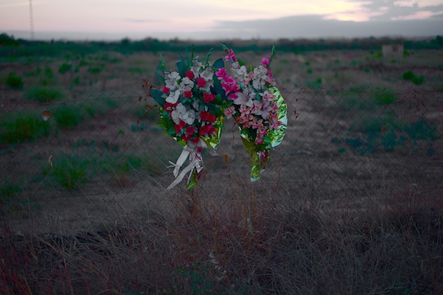 Spain pictures. Horta Nord. Massamagrell. © Daniel Belenguer