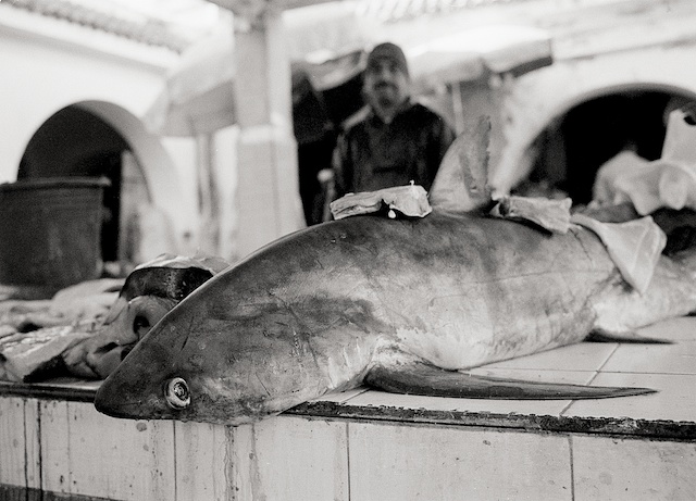 Mercado de Essaouira. © Daniel Belenguer