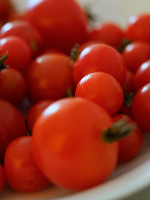 Tomates cherry de la huerta de Gerardo y Gema, han nacido silvestres este año. © Daniel Belenguer