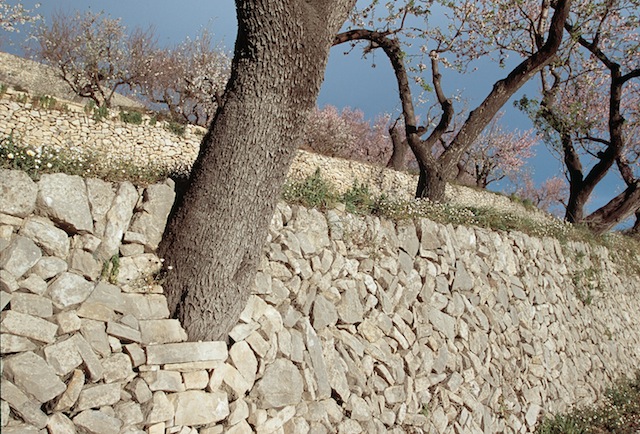  Vall de laguar, Alicante, muros de piedra seca. © Daniel Belenguer