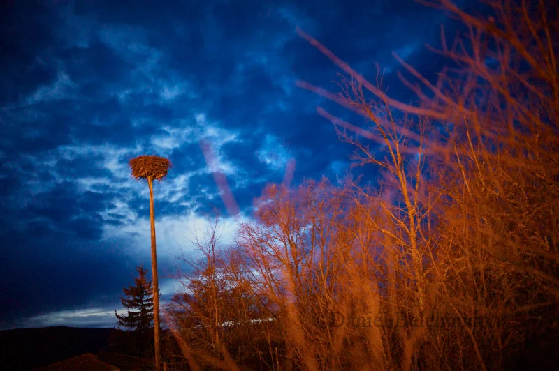  Cidones. Soria. © Daniel Belenguer