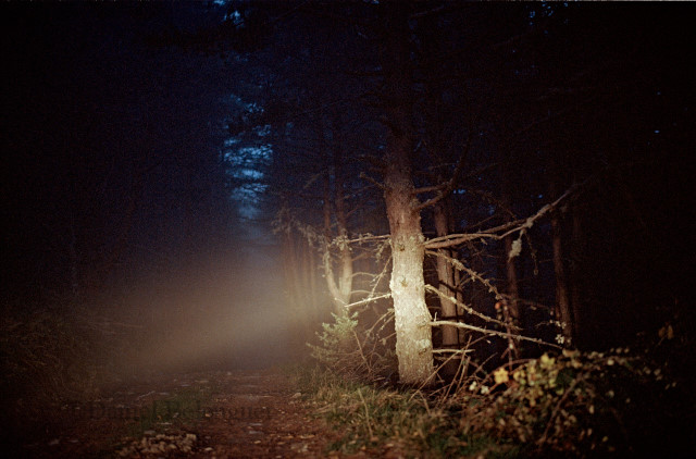  © Daniel Belenguer