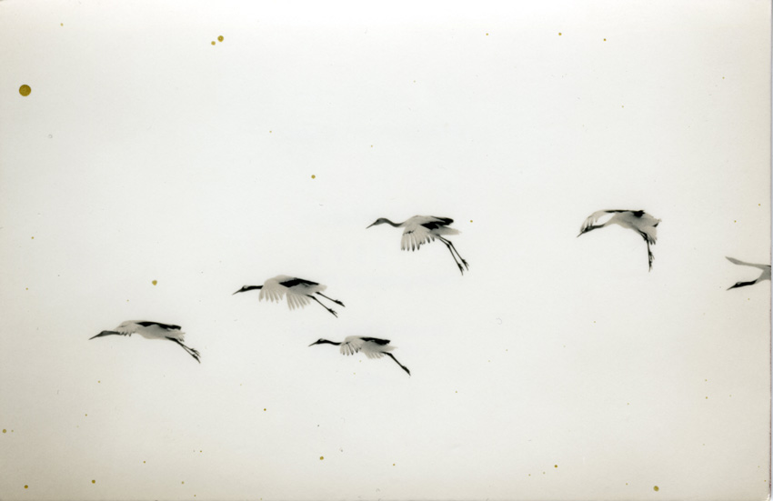 © Yamamoto Masao