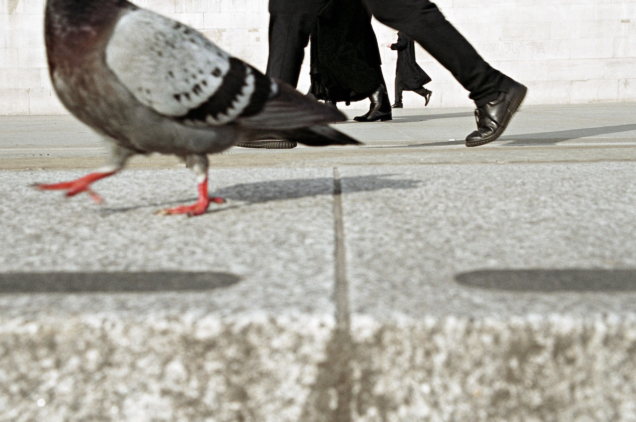 © Matt Stuart