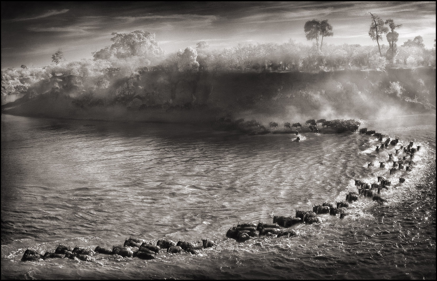 © Nick Brandt