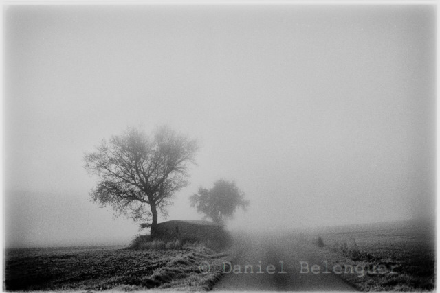 © Daniel Belenguer