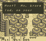 I treated this owl with awe as a kid.