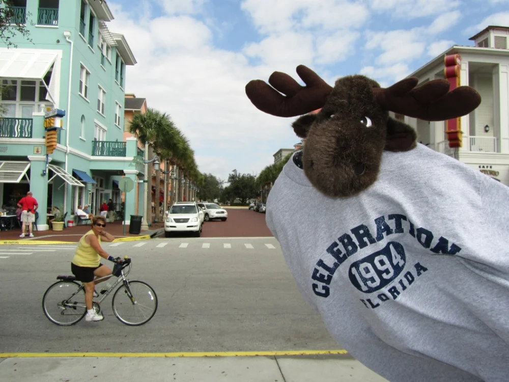 Florida 2011-019 (1000x750).jpg