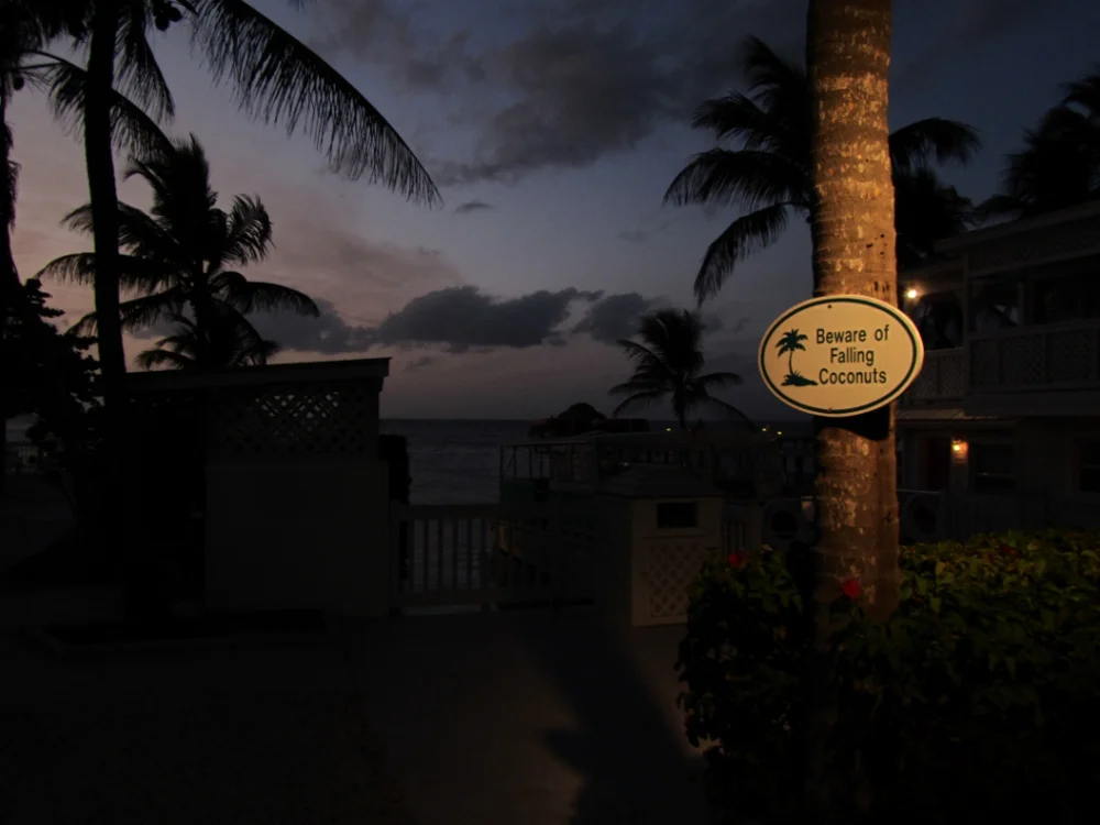 Florida 2011-134 (1000x750).jpg
