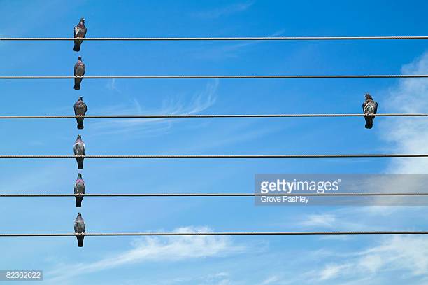 Photo by Grove Pashley/Photographer's Choice / Getty Images