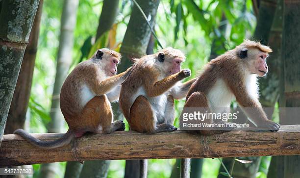 Photo by Richard Wareham Fotografie/Photographer's Choice / Getty Images