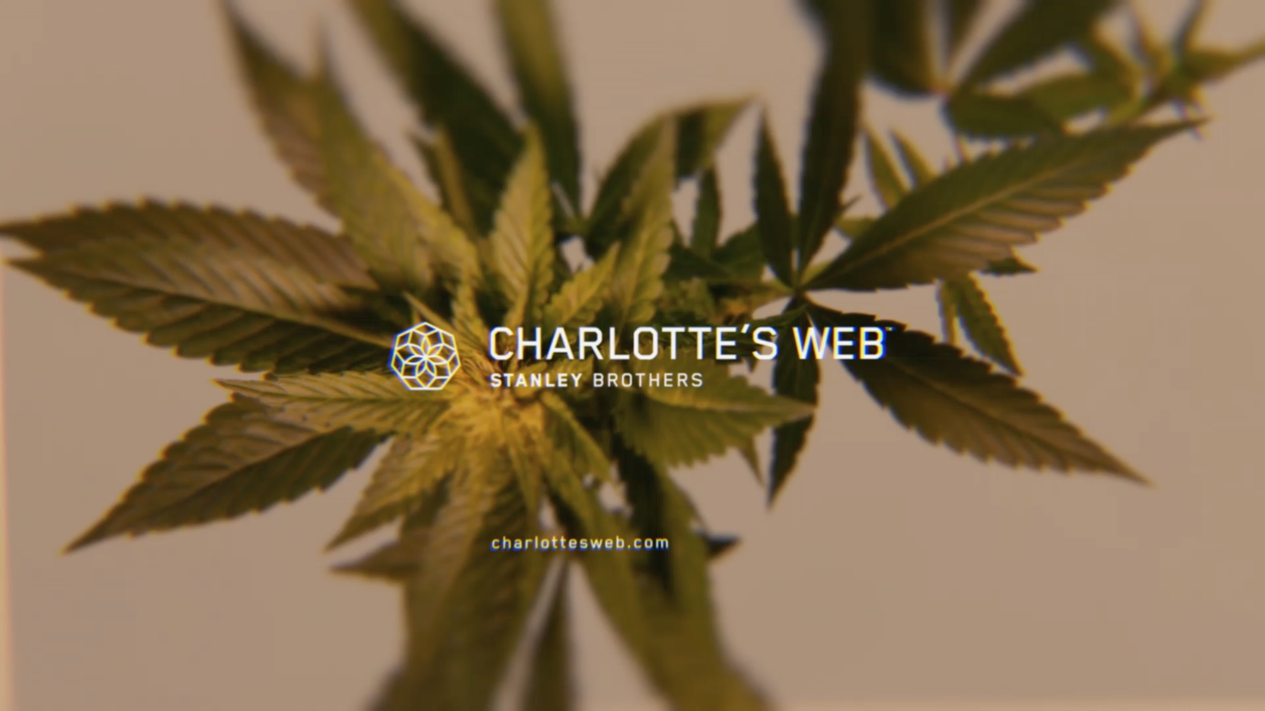 COM-CharlottesWeb-title logo3.png