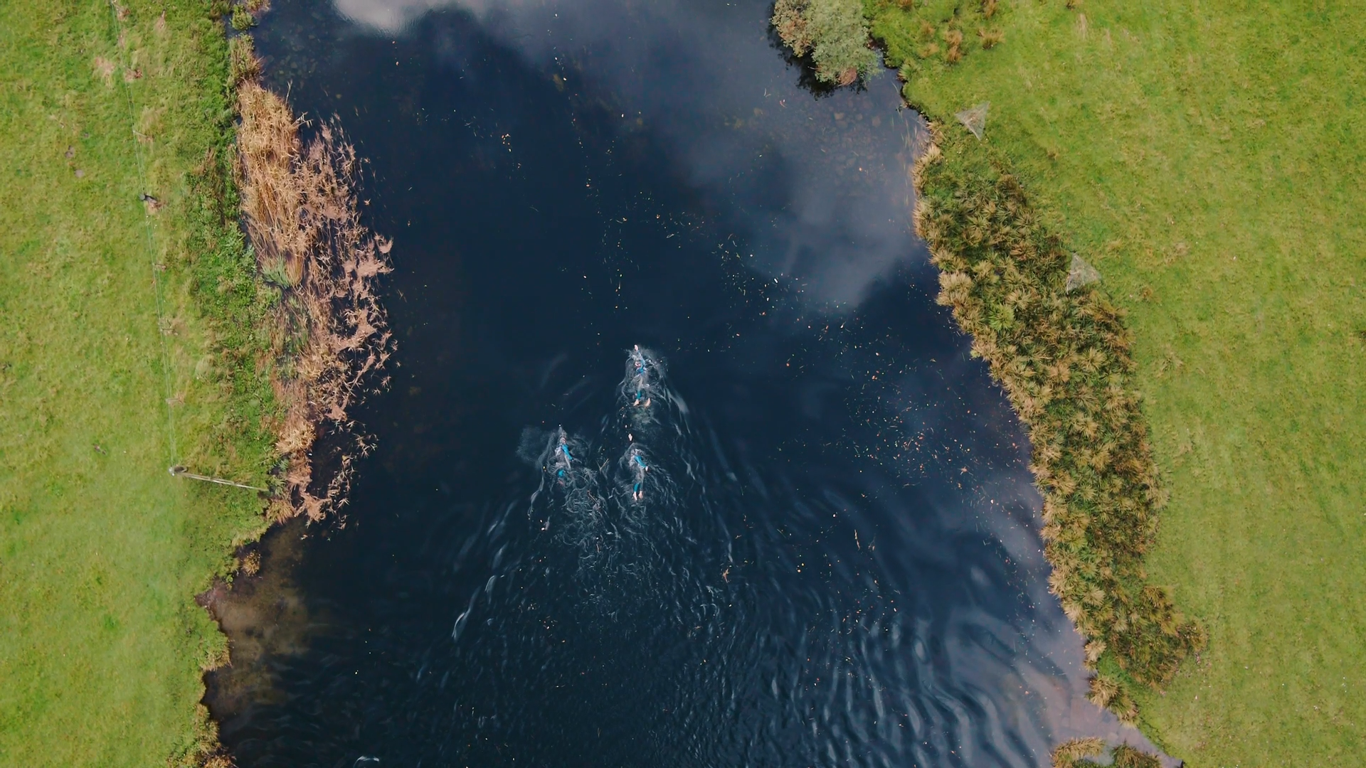 Doc-SwimWild-vista-action-swim14.png