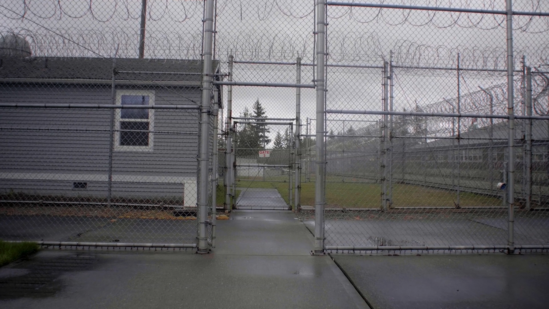 DOC-SinceIveBeenDown-vista-prison fence2.png