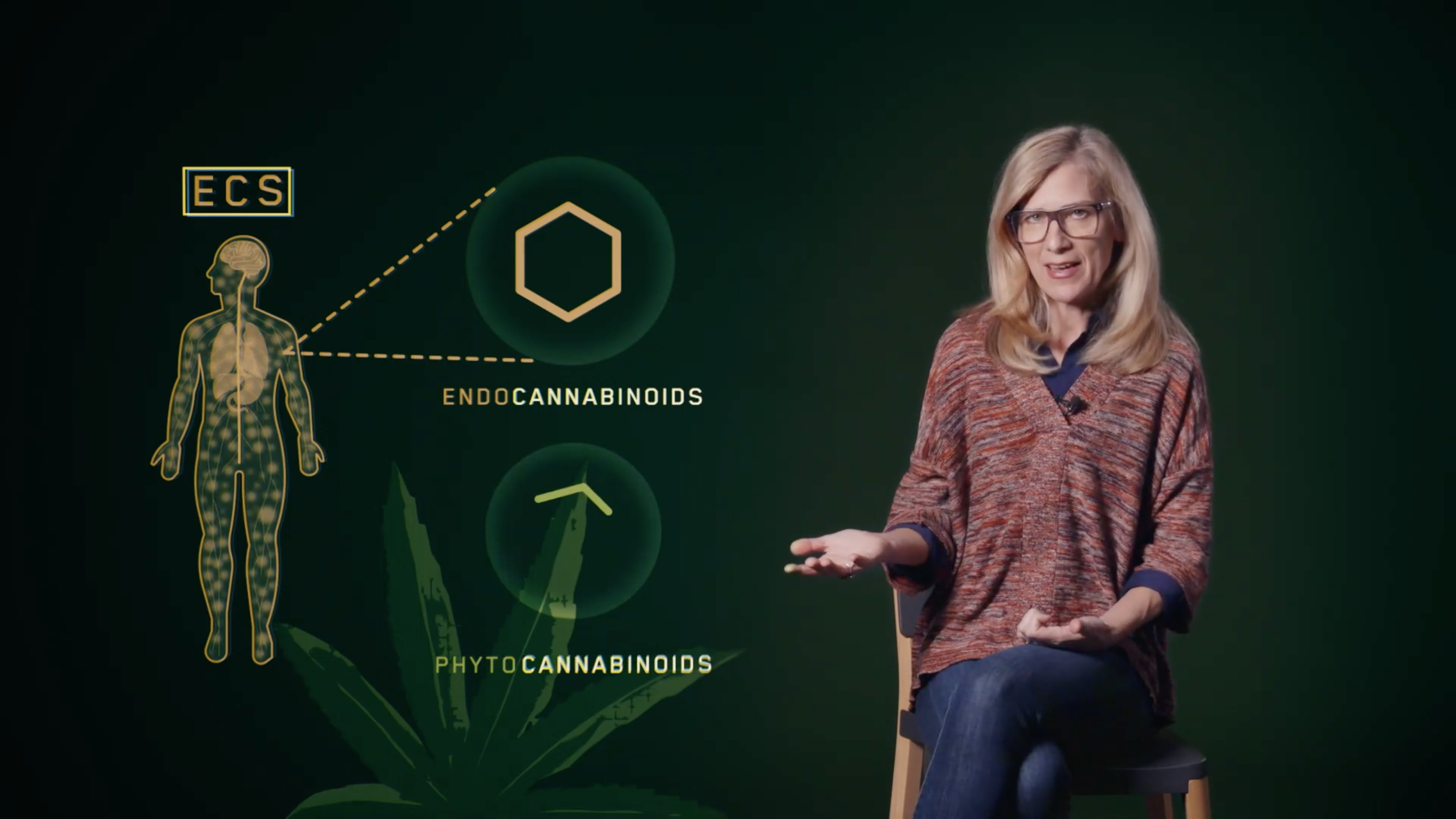 Charlotte's Web Series - animated explanation