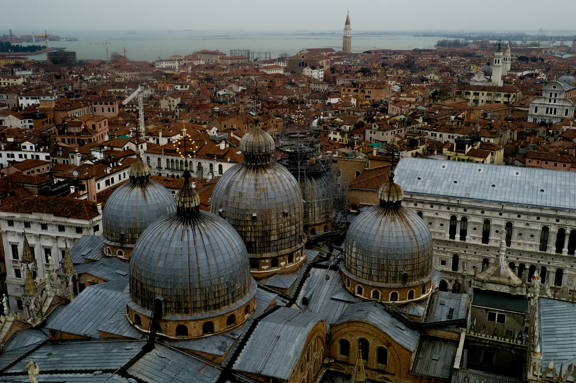 L1000545.jpg