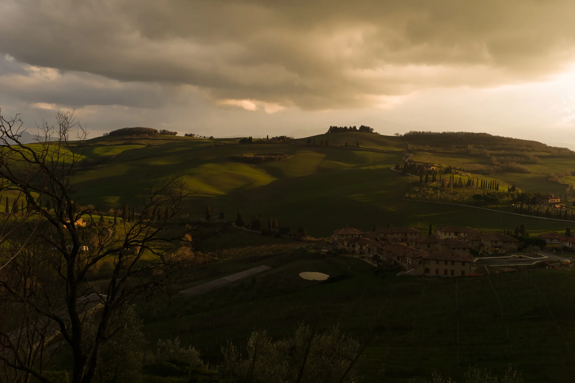 L1001005.jpg