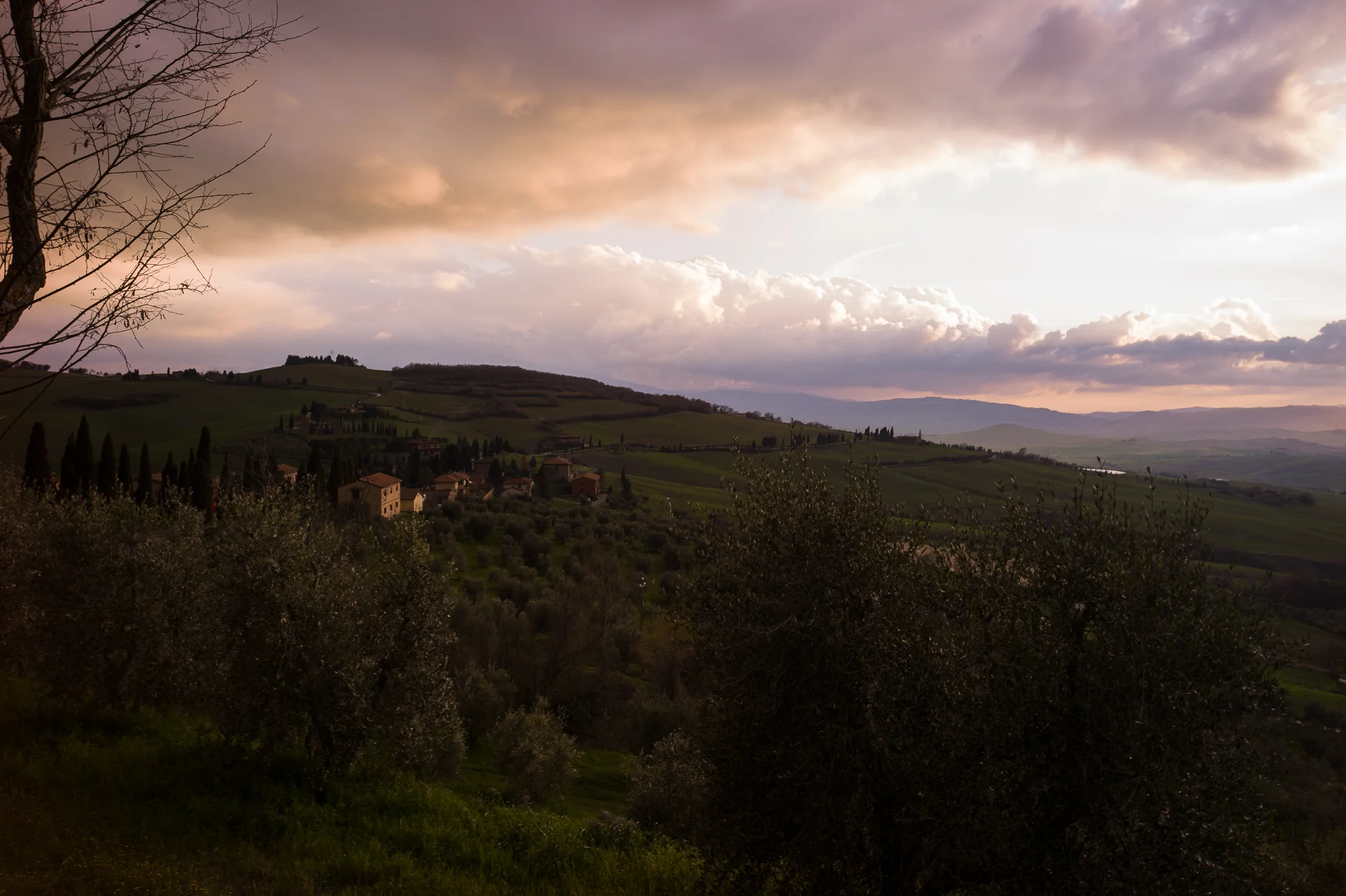 L1001033.jpg