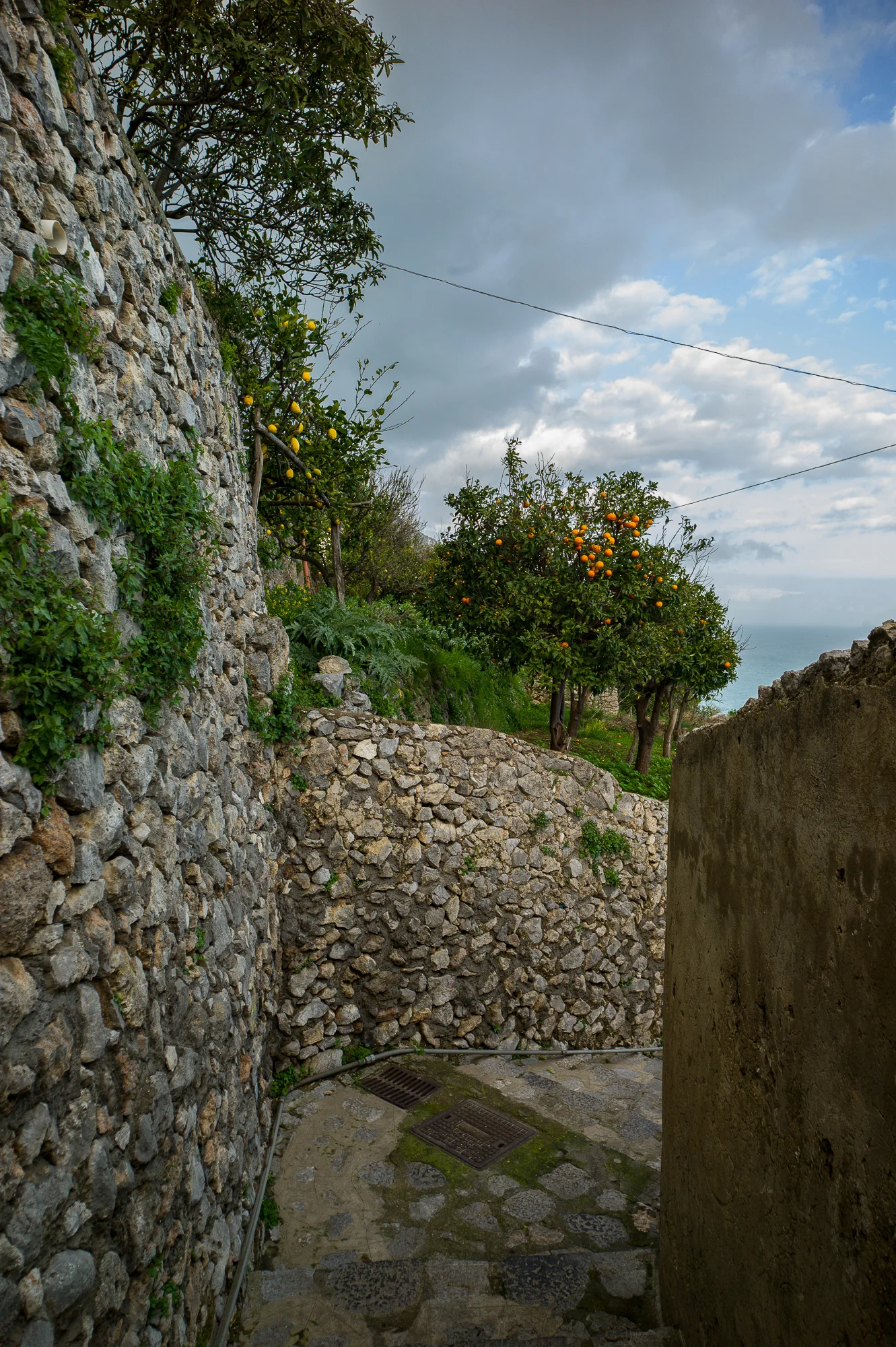 L1001686.jpg