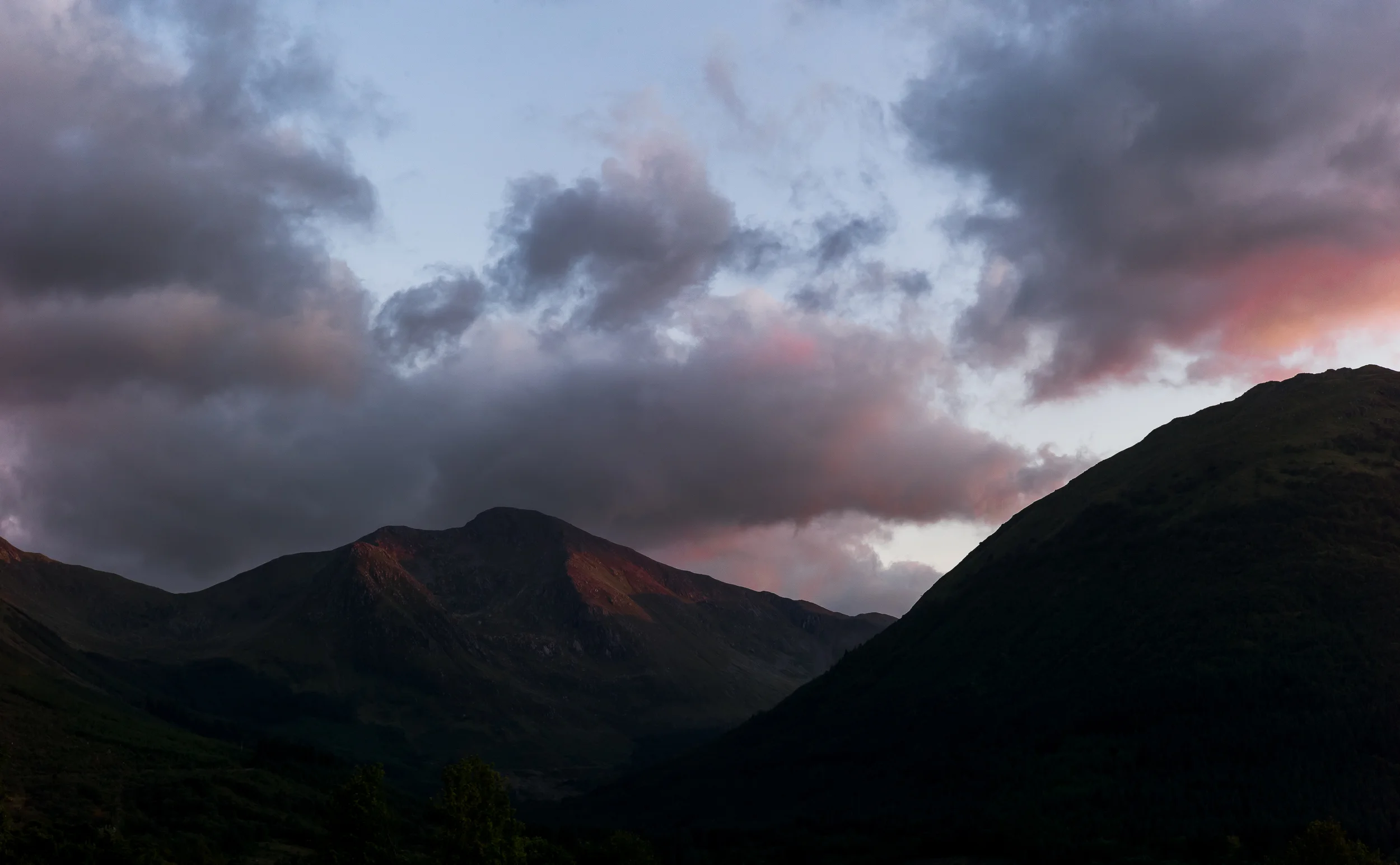 L1005537.jpg