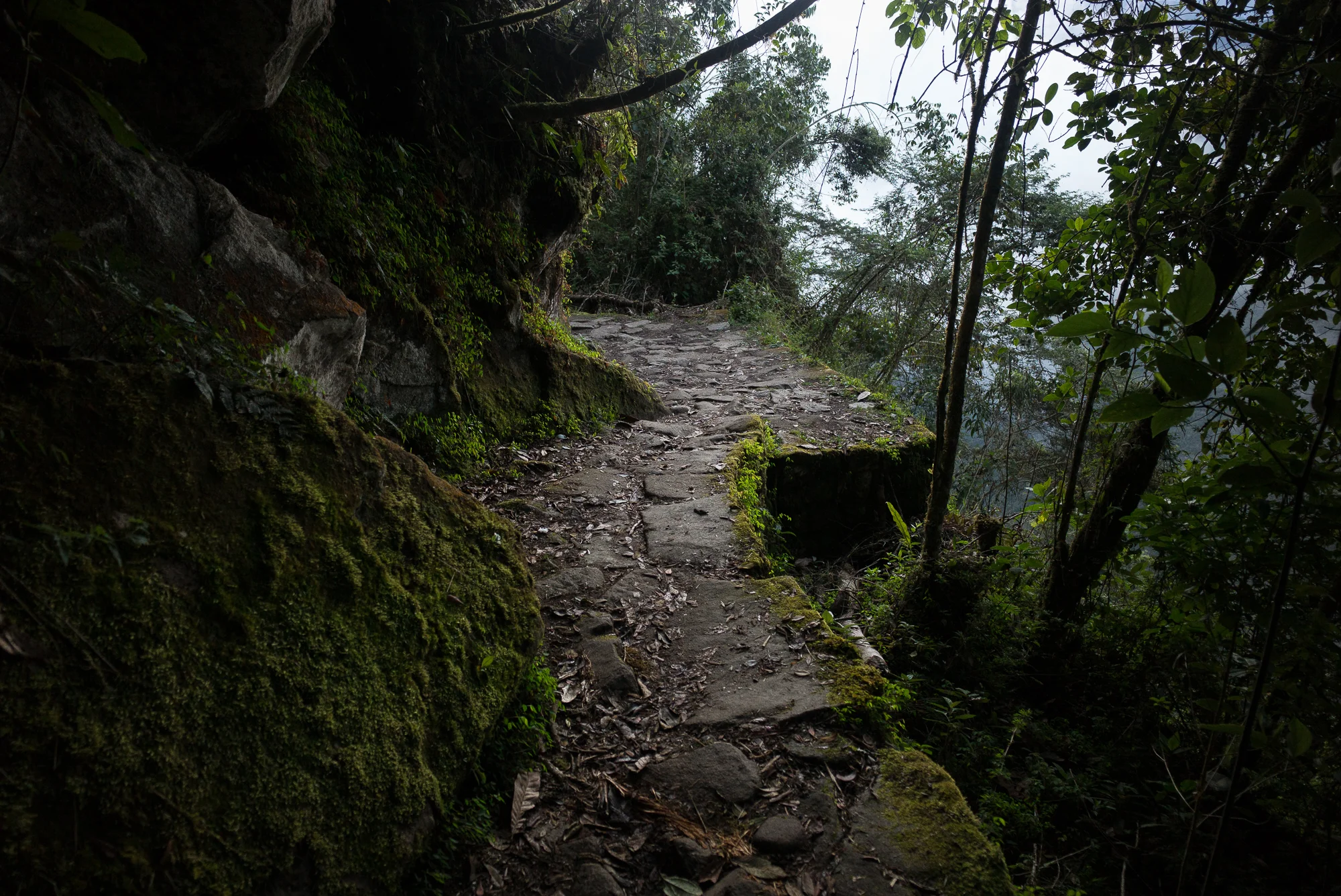 L1008607.jpg