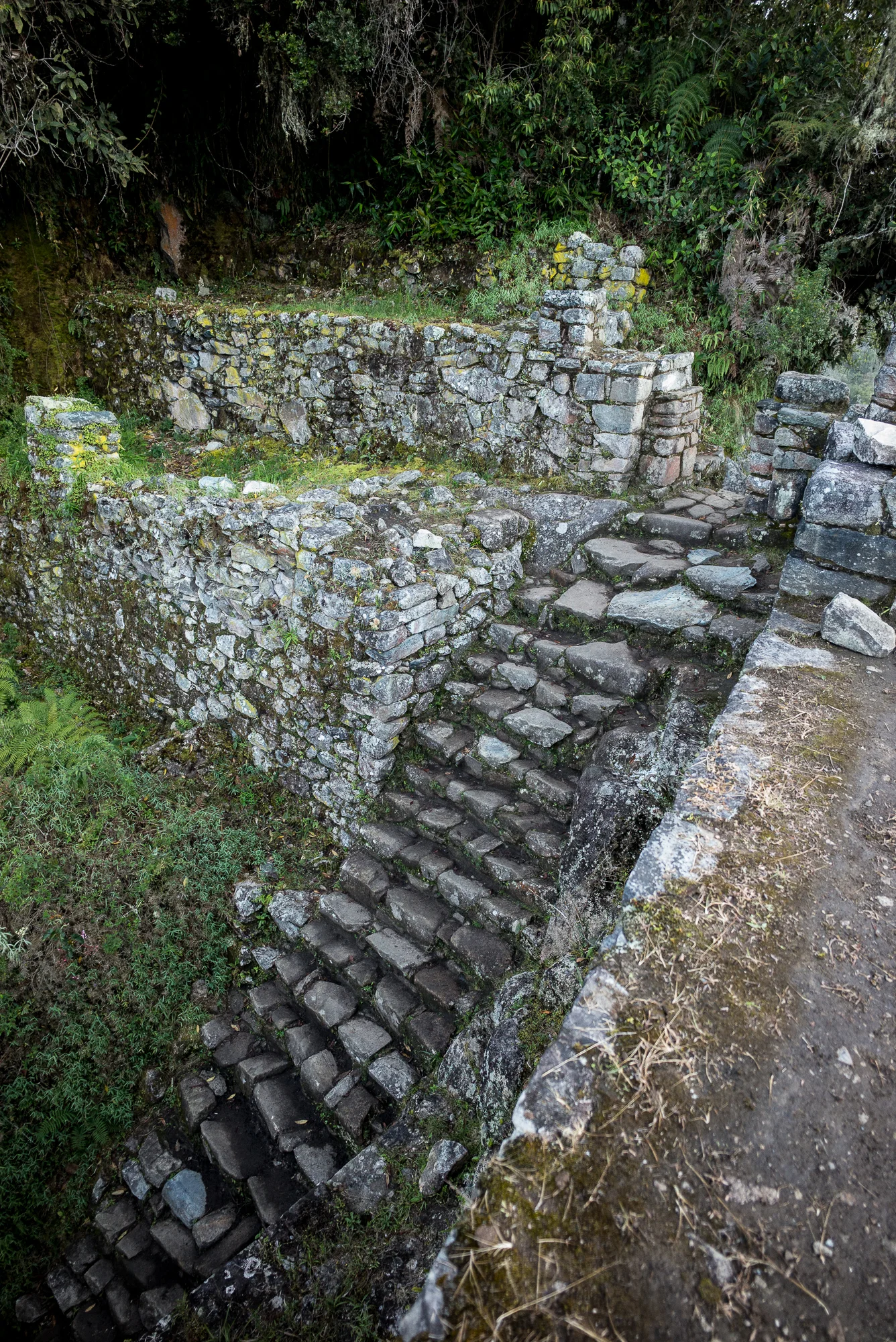 L1008622.jpg